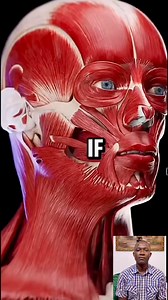 2M views · 28K reactions | Believe | SURE TRUTH TV | Facebook