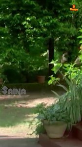 കുടിച്ച മദ്യവും വേസ്റ്റ് ആയി 😂 #Mohanlal #comedy #evergreen #comedyreels | Malayalam Comedy Time