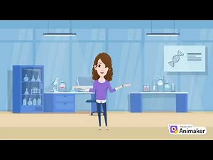 Zainab Rahman Epigenetics of Imprinting Disorders Biochem 2B03