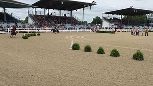 10K views · 298 reactions | Shetland Pony Steeplechase Races | The Devon Horse Show | Facebook