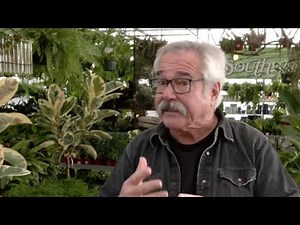 Former HGTV Gardening Star Paul James On How To Keep House Plants Thriving
