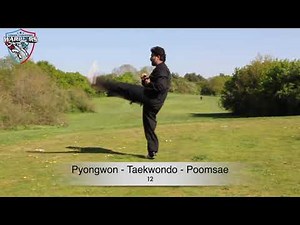 Pyongwon | Taekwondo | Poomsae 12 |