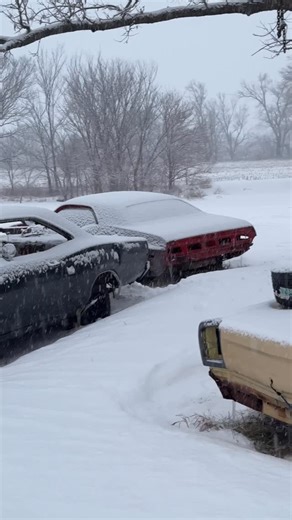 Kelsey W Veer on Instagram: "For just hundreds of dollars a month, you can support a muscle car…won’t you call now???? 1970 Super bee (4 speed), 1968 Coronet R/T (4 speed), 1970 Dodge Challenger (3 speed manual), and 1969 Plymouth Roadrunner (auto). #superbee #dodgecoronet #coronet #coronetrt #1970challenger #70challenger #71challenger #dodge #challengerrt #dodgechallenger #69roadrunner #1969roadrunner #70roadrunner #1970roadrunner #plymouthroadrunner #roadrunner #68roadrunner #1968roadrunner #p