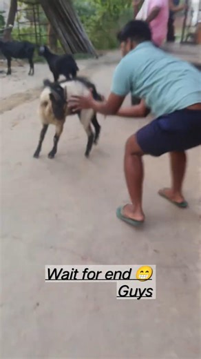 मारखंड जानवर 😁 #shorts #videos #viral #ytshorts