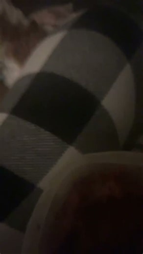 I WANT WAF FRIES #funny #memes #relatable #music #puppy