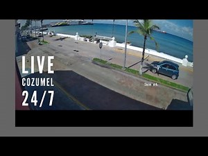🌴 LIVE: Cozumel Waterfront Cam – Señor & the Queen | Ferries, Cruise Ships, and Island Life Cozumel