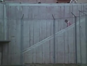 15 reactions | On July 30, 1976 After finishing 10th in the...