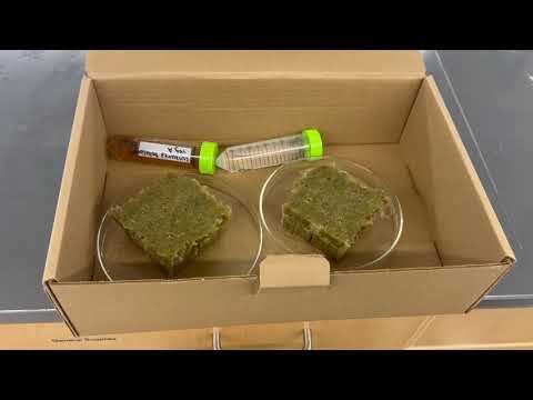 Bywater BioSolution, Design of Dissolvable Bacteria Delivery Pod for NFT Hydroponic Systems
