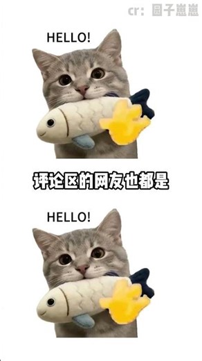 Old Dad Deng's Hilarious Promise: Just One Teaching Session