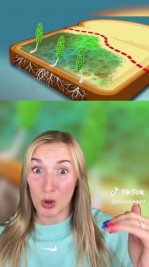 Can You Eat Moldy Bread? Why It's Unsafe