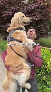 My dogs visit a pet-friendly zoo!