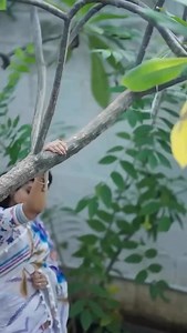 16K views · 10K reactions | ✨CODE : LCWB138 , Rs.799 ✨ Linen with Pom Pom ✨Place an Order through Our Website “www.lakshmiboutique.co.in” DOWNLOAD OUR “LAKSHMI BOUTIQUE“ Mobile app from play store/App Store @lakshmiboutique_official | Lakshmi Boutique | Facebook