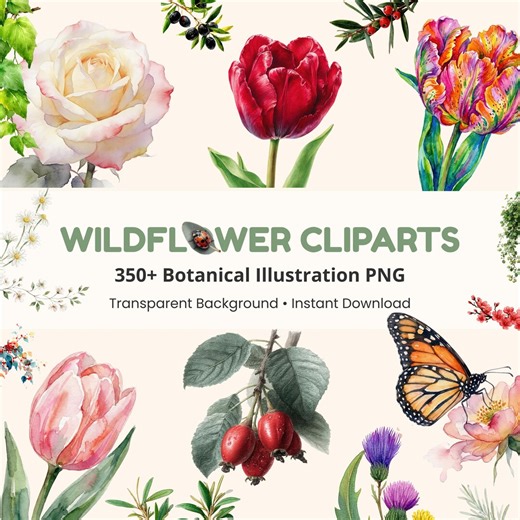 Wildflower Botanical Clipart Bundle, Watercolor Illustrations (instant Download) - Etsy