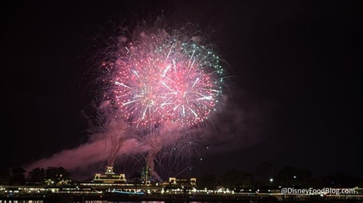 I Paid $480 for a Magic Kingdom Fireworks Cruise, and I Would Do It Again | the disney food blog