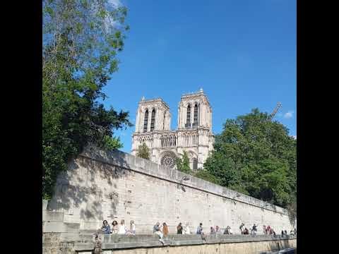 POLT Playoffs Ascendancy Vs POLT S4