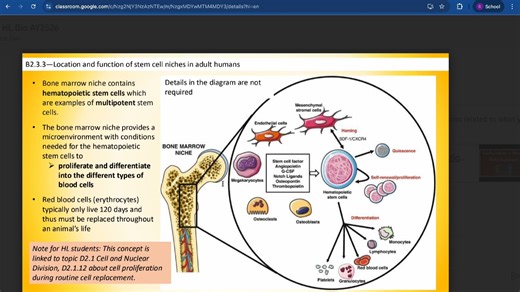 Cell specialization (Sl)