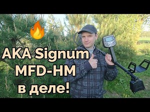 Поиск монет с новым АКА Signum MFD-HM.