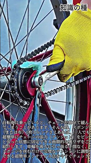 緩んだ自転車チェーン、スポンジ1枚でピンと張る方法 #bike #cycling #maintenance #diy #hack