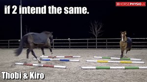 ...if 2 intend the same. | Horsephysio