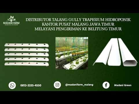 Distributor Sarana Green House Madani Farm HP/WA 0813-3335-4550