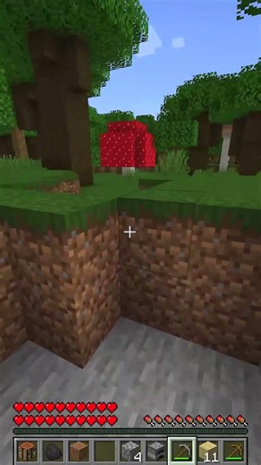 Minecraft, But I Play as an Enderman