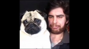 The joys of owning a pet are the horrors of being owned by me. Ft: Pegman at the end. | Keeping it Stuggy