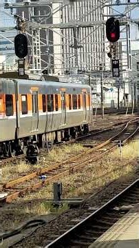 ３１５系電車ショート動画集２５１