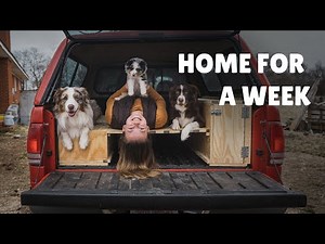 DIY Truck Bed Camper Build - Start To Finish