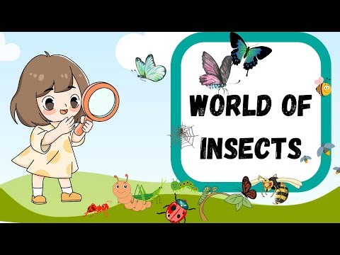 🐜🦋 INSECTS | Kids Learning Video | Learn Insect Names & Facts| Dynamic Kids Learning