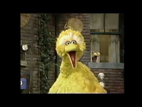 Big Bird's Loudest Angriest Scream!(But Big Bird Has Barney's Voice)