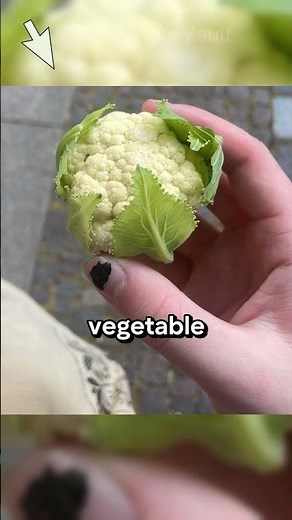 These Rare Photos Will Mess With Your Brain 👀🤯