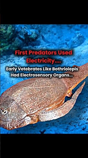 Prehistoric Facts 🥶