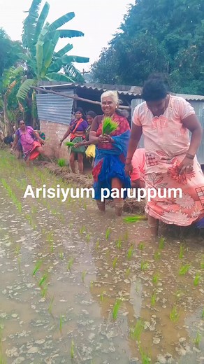 13K views · 207 reactions | ஆத்தா dance Vera level #trendingvideo #dance #tamilcinema #vibe | Arisiyum Paruppum | Facebook