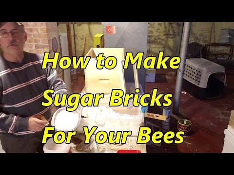 ✅ How to Make Sugar Bricks for Your Bees