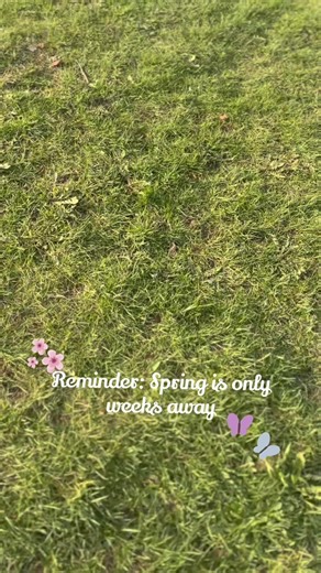 Spring Arrives in Vancouver: A Seasonal Transformation