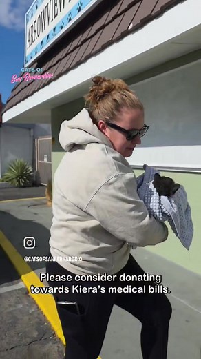 This morning, we received a desperate message about a cat who had somehow become trapped inside someone’s garage for an extended period of time. The finder said she was barely moving, and when we saw the photo, our hearts sank. Her tiny body is completely emaciated. You can see every bone. She’s so weak she can’t even lift her head. It’s clear she’s been without food or water for far too long. We immediately contacted our vet and asked if we could rush her in for emergency care. There was no hes