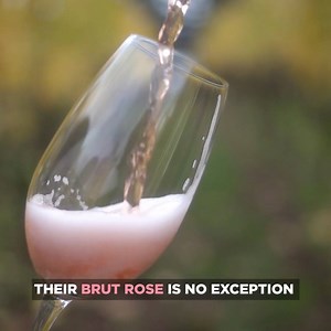 942K views · 6K reactions | This picturesque vineyard is at the...