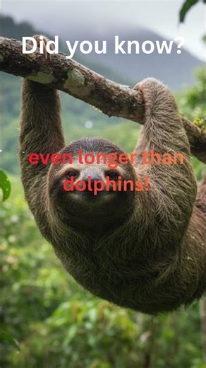 Why Sloths Are GREEN 🦥🌿 #Shorts #sciencefact #animals #facts