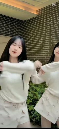 Chinese two girl dance l Beautiful dance #dance #shorts #中国人 #跳舞