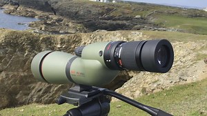 [Sponsored Post] This is what 96x optical zoom looks like through a Kowa Sporting Optics Pure fluorite crystal TSN-880 spotting scope with the Kowa TSN-EX16 (1.6x) extender. The eyepiece is set at 60x optical zoom and the extender increases the power up to 96x. The pure fluorite crystal lens delivers incredible clarity and sharpness even at this extreme magnification. The clip is filmed through an iPhone SE and connection is to the scope using a Kowa iPhone #digiscoping adapter. It is just anoth