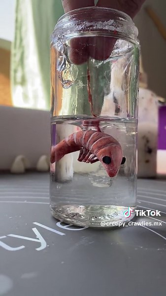 Tutorial de Barniz Casero: Paso a Paso