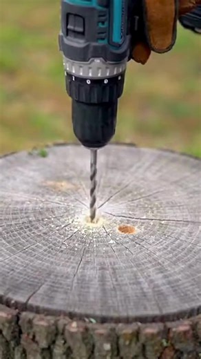 How to Remove a Tree Stump: 4 Alternative Methods ... See more 👇 | Beautiful Home & Garden Ideas