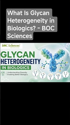 What Is Glycan Heterogeneity in Biologics? - BOC Sciences #glycans