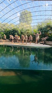 271K views · 7.4K reactions | REIN INS KÜHLE NASS!  Bei mehr als 80...