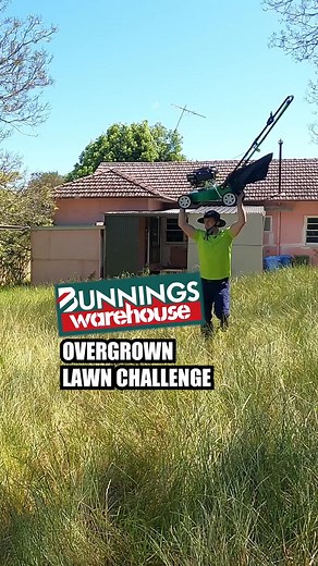 Cheapest Lawn Mower Overgrown Challenge