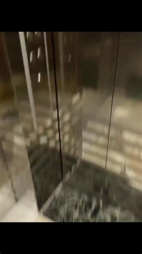 Adorable Hello Kitty Cat and Pet Videos 🐱😍