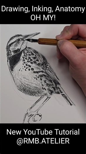 Drawing deep dive alert‼️#learntodraw #ink #naturejournal