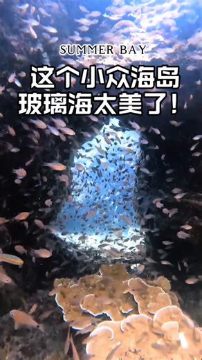 马来西亚的浪中岛（Lang Tengah Island）周围的海域拥有丰富的海洋生物和五彩斑斓的珊瑚礁，是浮潜和潜水的绝佳地点！🏖🤿 . 浪中岛在热浪岛和停泊岛之间，相对人少景美，一个可以满足上山下海的度假胜地。浪中岛的住宿选择不多，但每一家都很有特色。另外度假村提供浮潜装备租赁和潜水课程，你可以跟随专业教练一起探索海底世界。 . 文章内是记者的浪中岛旅行攻略，希望能带你一起感受这个岛屿的独特魅力~！ . 完整文章：https://www.orientaldaily.com.my/news/ufood-travels/2024/07/30/666514 . #U玩食 #ufoodtravel #旅游 #浪中岛 #浮潜 #潜水 #度假 #海岛