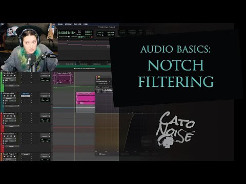 Audio Basics: Notch Filtering