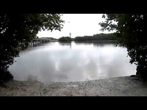 good fishing spot in Bonita Springs, Florida - shoreline fishing